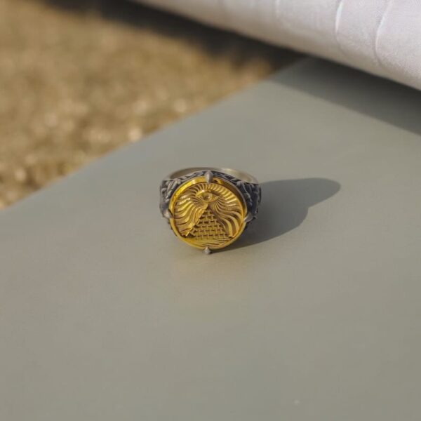 Aegis - Image 2